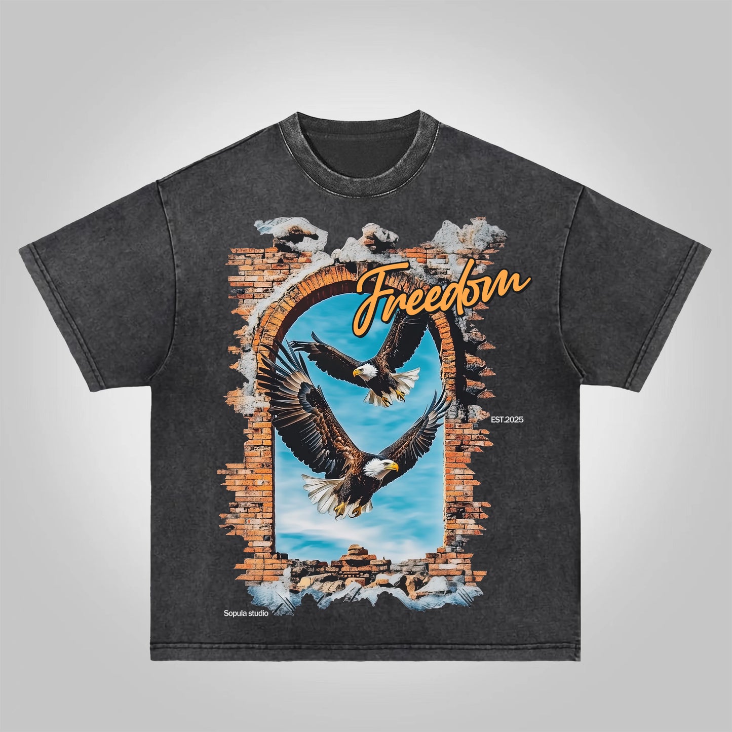 Vercoo Wings Of Freedom Acid Washed T-Shirt